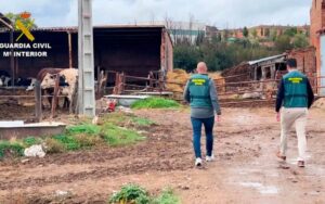 robos en el campo