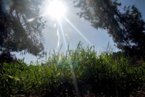 Sol en invierno, tiempo, clima