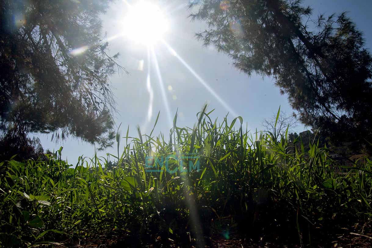 Sol en invierno, tiempo, clima