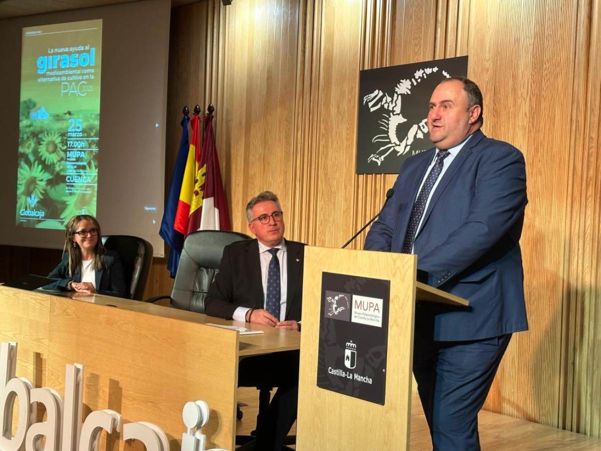 Martínez Lizán ayudas girasol