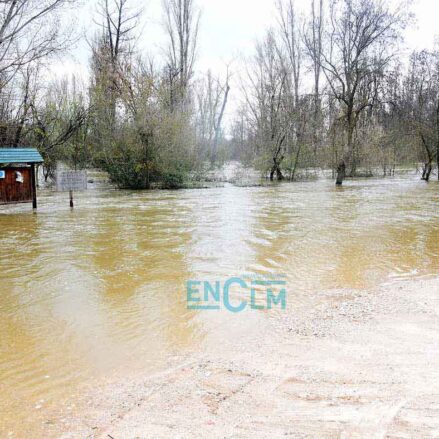 Imagen de la crecida del Alberche en Escalona.