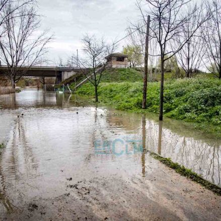 Crecida del Tajo en la senda ecológica a la altura del puente de Azarquiel. Foto: Rebeca Arango.