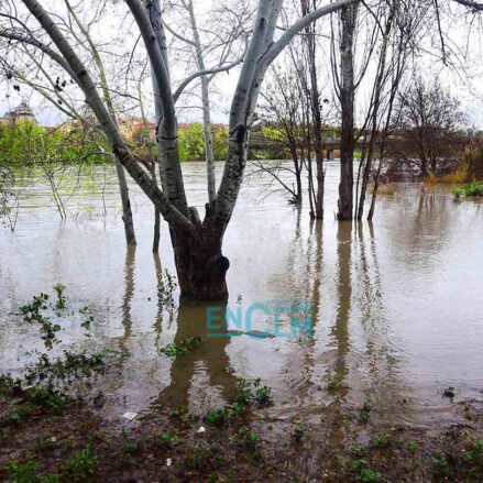 Crecida del Tajo en la senda ecológica a la altura del puente de Azarquiel. Foto: Rebeca Arango.