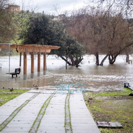 Crecida del Tajo en la senda ecológica a la altura de La Cornisa. Foto: Rebeca Arango.