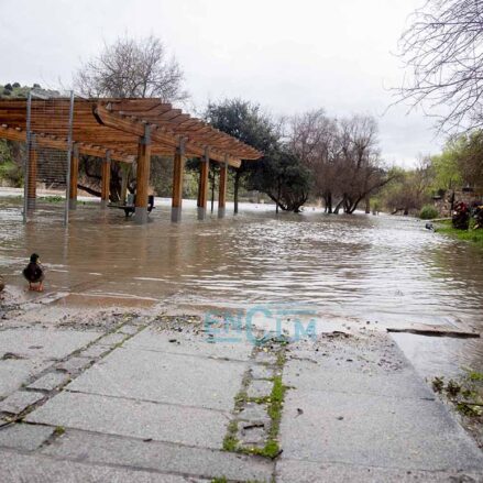 Crecida del Tajo en la senda ecológica a la altura de La Cornisa. Foto: Rebeca Arango.