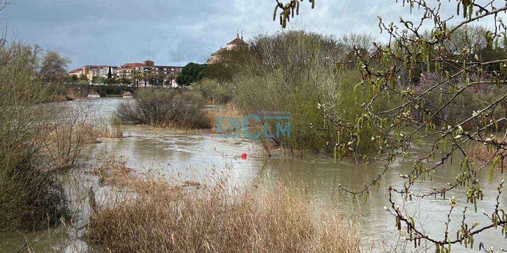 Crecida del Tajo en Talavera.