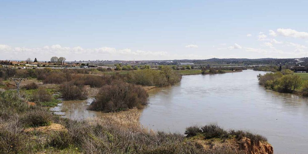 Imagen de los terrenos inundados por el Tajo, en Toledo. Foto: Eva Díaz Pérez.