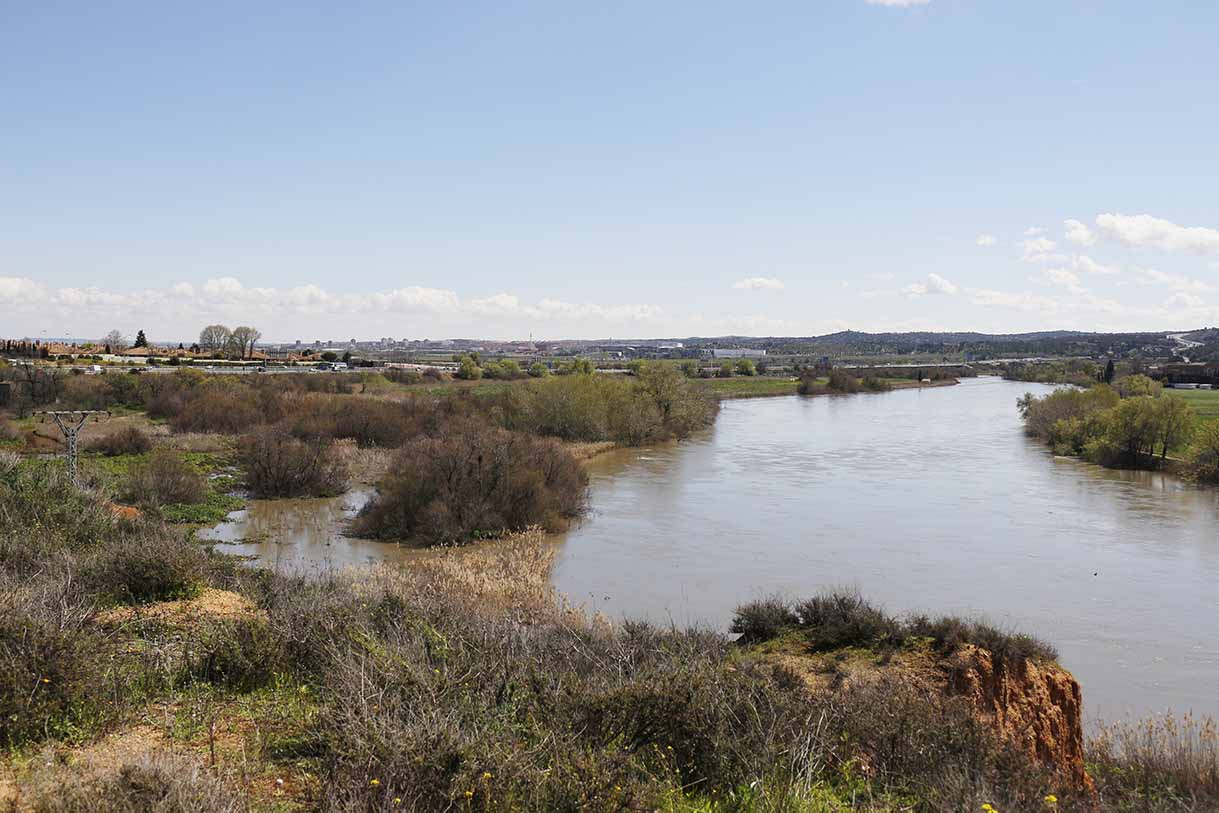 Imagen de los terrenos inundados por el Tajo, en Toledo. Foto: Eva Díaz Pérez.