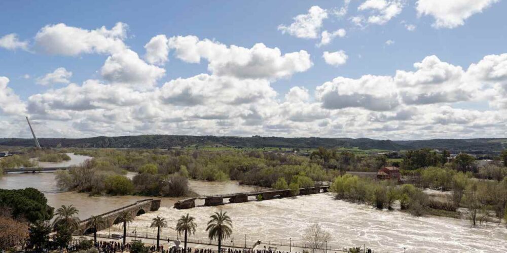 Derrumbe parcial del puente romano de Talavera. Foto: EFE/Manu Reino.