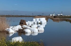 Imagen de una parcela anegada por el agua del Tajo a la altura de Algodor. Foto: Rebeca Arango.