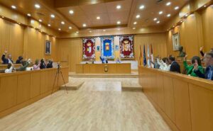 Imagen del pleno del Ayuntamiento de Talavera.