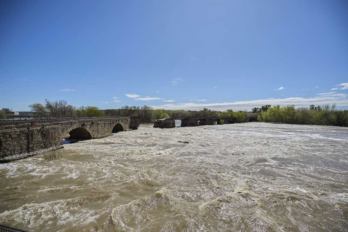 El Puente Viejo de Talavera de la Reina, parcialmente derrumbado debido a la pasada crecida del río Tajo que este lunes ha bajado su caudal. EFE/Manu Reino
