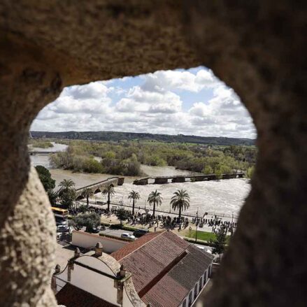 Vista del puente viejo derrumbado por la crecida del río Tajo a su paso por Talavera de la Reina, este domingo. EFE/Manu Reino.