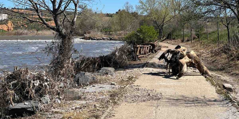 Foto de archivo de los efectos de la crecida del río Tajo en la senda ecológica de Toledo