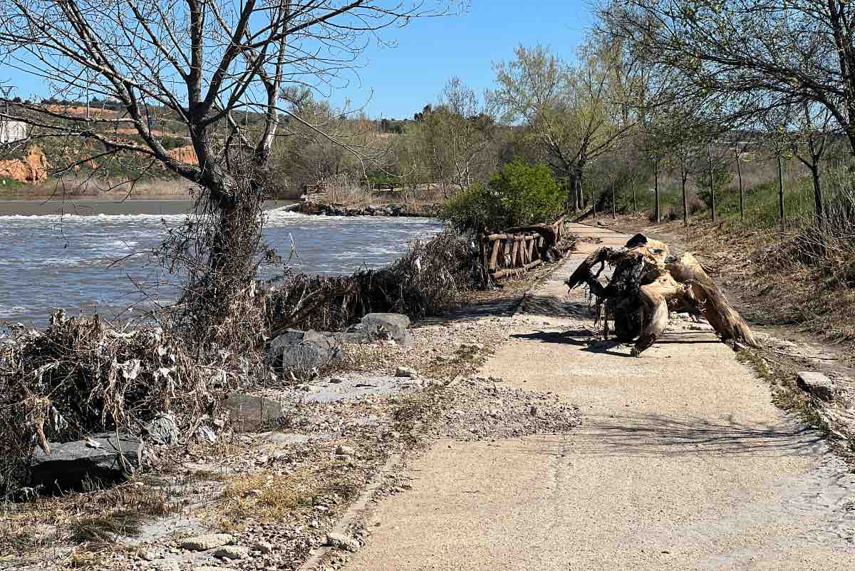 Foto de archivo de los efectos de la crecida del río Tajo en la senda ecológica de Toledo