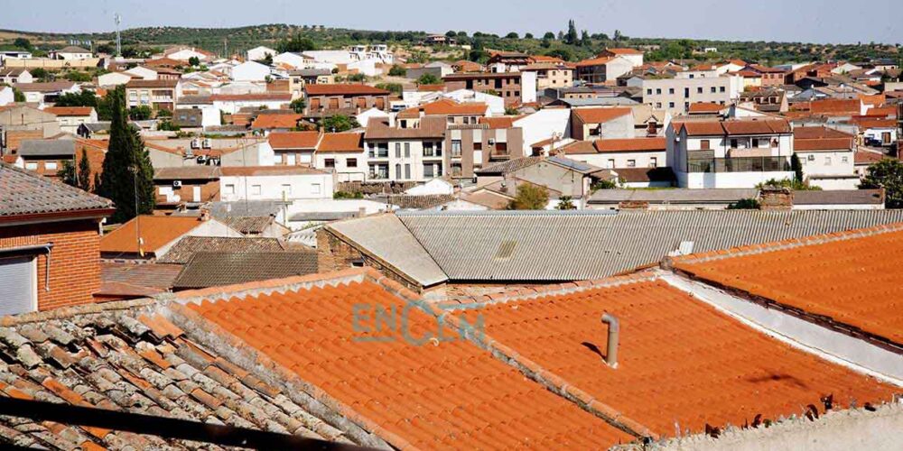 Cebolla, uno de los nombres más conocidos.