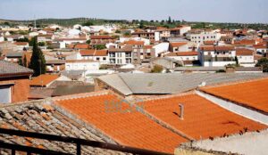 Cebolla, uno de los nombres más conocidos.