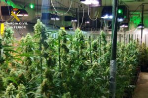 Imagen de archivo de una plantación indoor de Marihuana