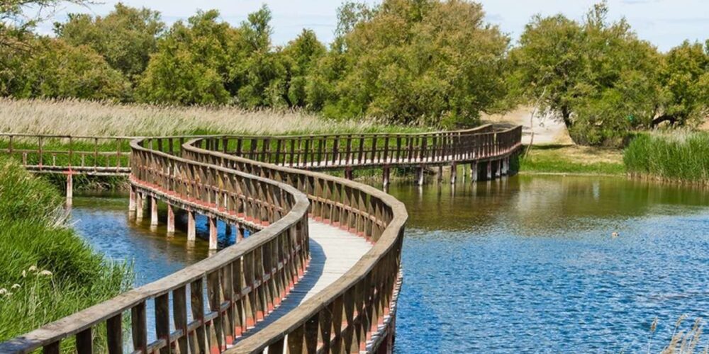 Imagen de archivo del Parque Nacional de las Tablas de Daimiel