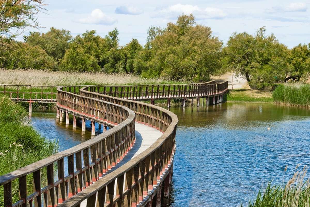 Imagen de archivo del Parque Nacional de las Tablas de Daimiel