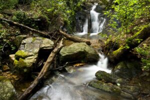 Imagen de una zona del Parque Natural del Valle de Alcudia y Sierra Madrona