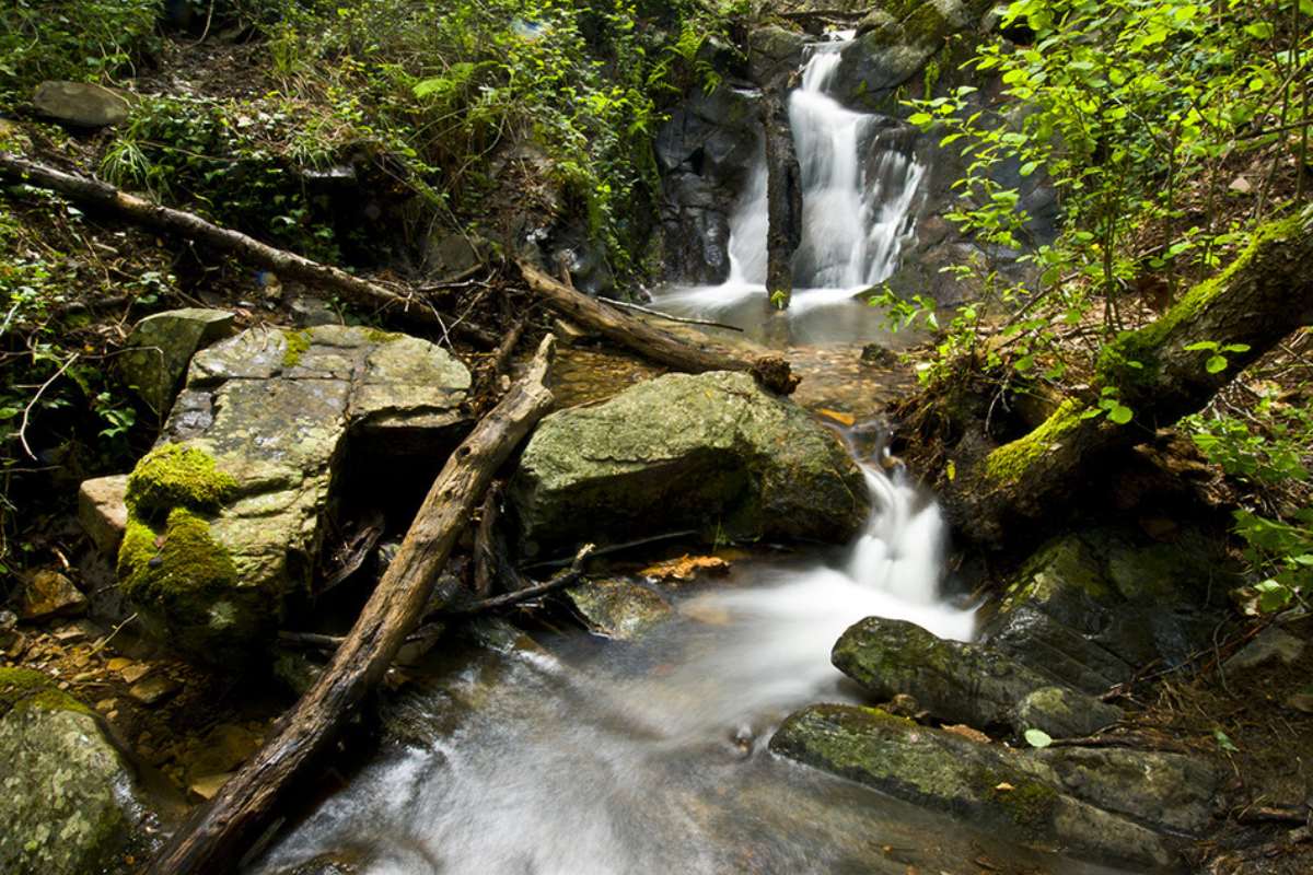 Imagen de una zona del Parque Natural del Valle de Alcudia y Sierra Madrona