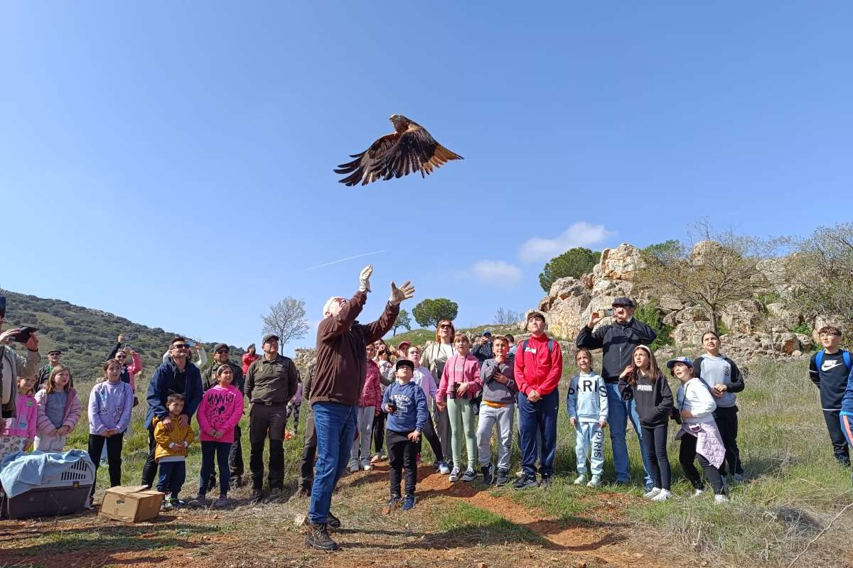 Suelta de diversas especies de aves en San Carlos del Valle