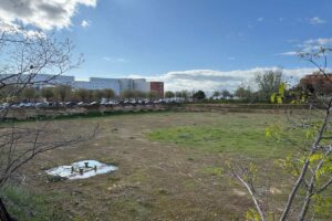 Terrenos donde se levantará el futuro Campus Biosanitario de la UCLM en Ciudad Real, junto al hospital