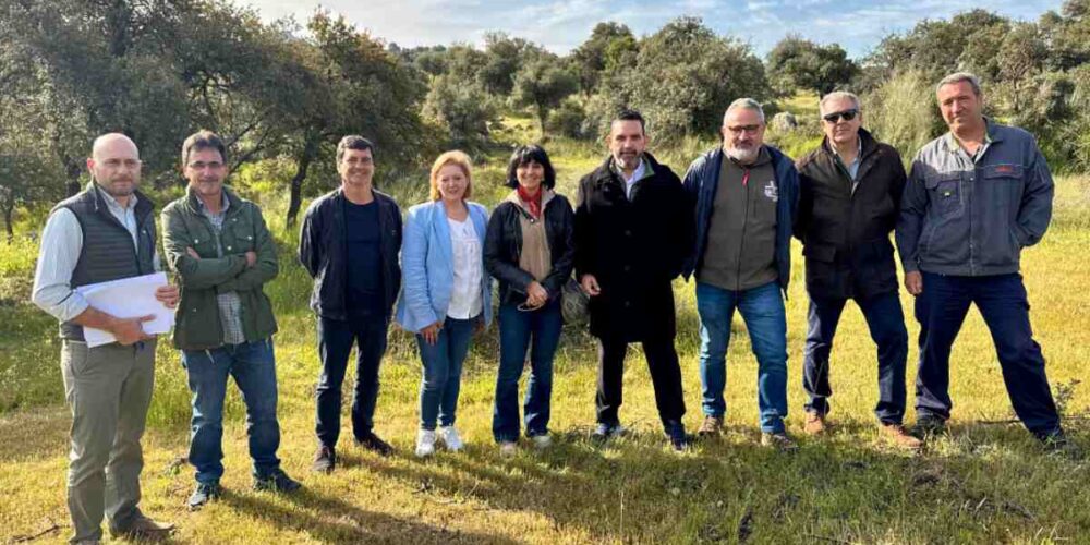 El que será el nuevo hábitat del lince ibérico en El Borril.