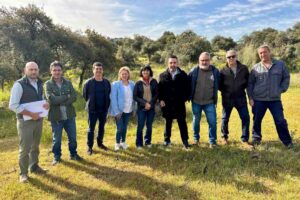 El que será el nuevo hábitat del lince ibérico en El Borril.