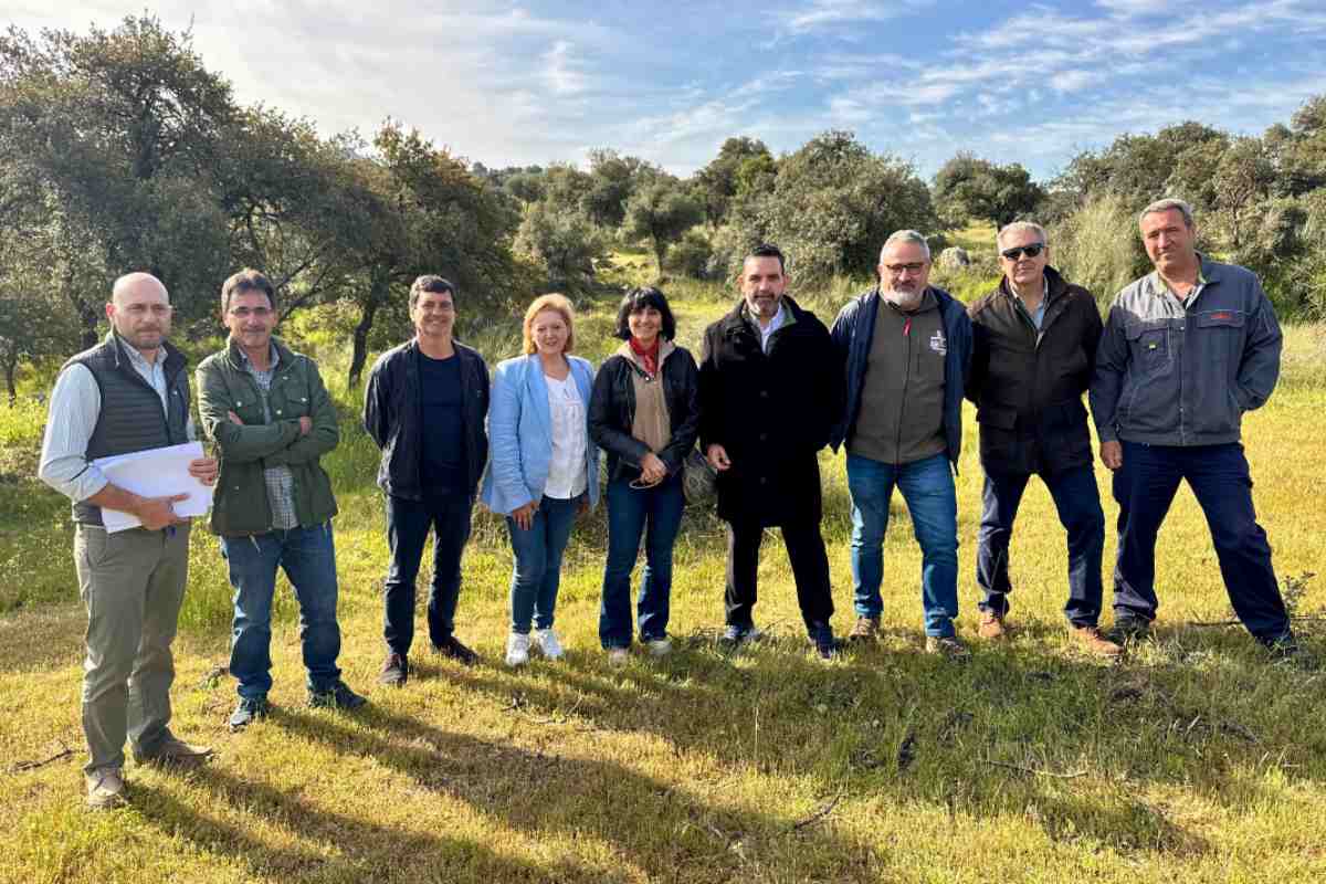 El que será el nuevo hábitat del lince ibérico en El Borril.