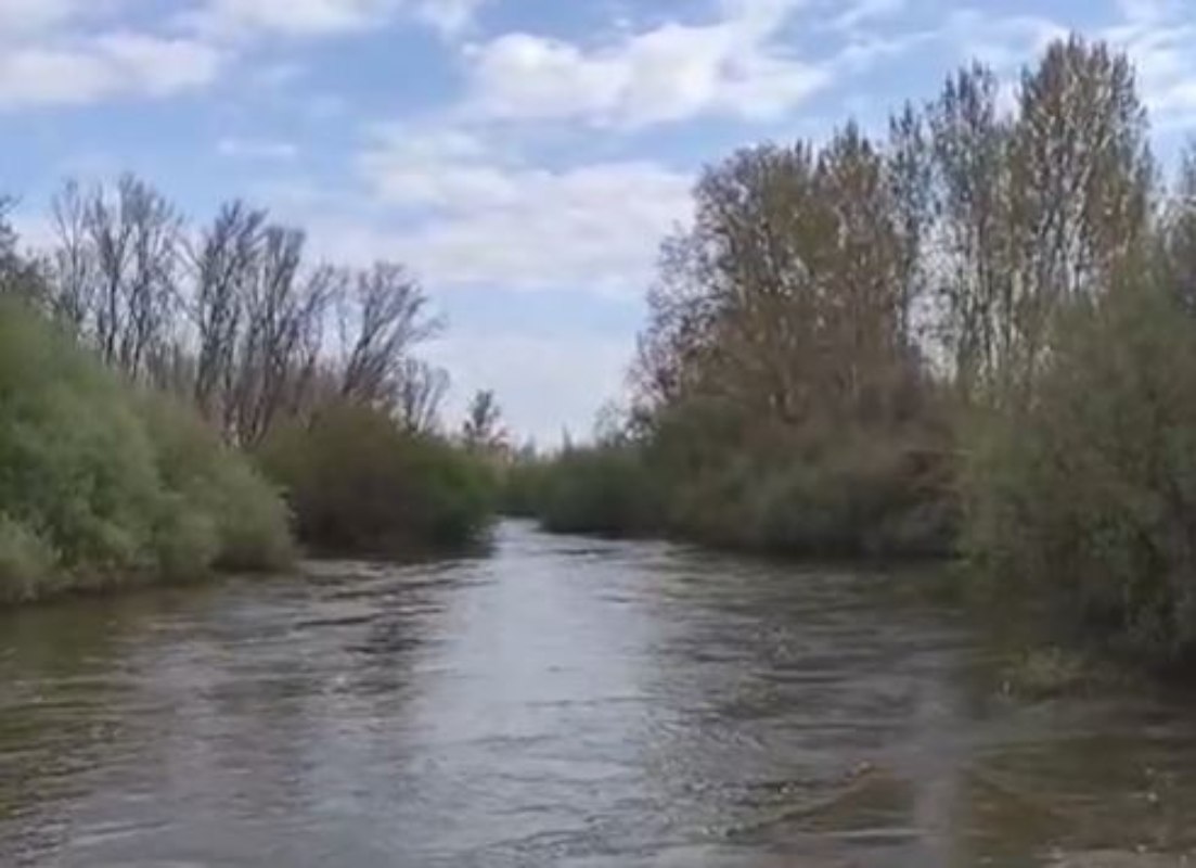 Así pasaba el río Alberche por Escalona este fin de semana.