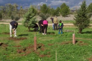 La Diputación abre las inscripciones para una jornada de plantación de árboles y arbustos el próximo 27 de abril