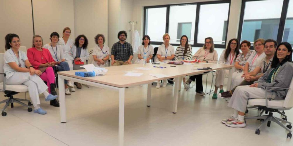 Grupo Focal en el que han participado profesionales de los servicios de Oncología y de Hematología, entre facultativos, enfermeras del Hospital de Día y de hospitalización, TCAE, celadores, pacientes y familiares, en colaboración con la Asociación Española contra el Cáncer.