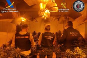 Plantación marihuana Torrejón del Rey