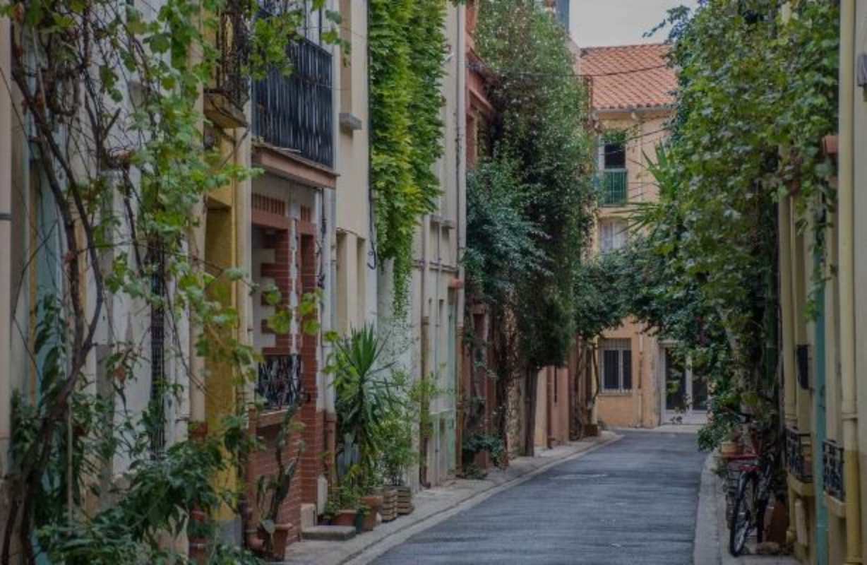 El origen del nombre de Matarrubia es arbóreo.