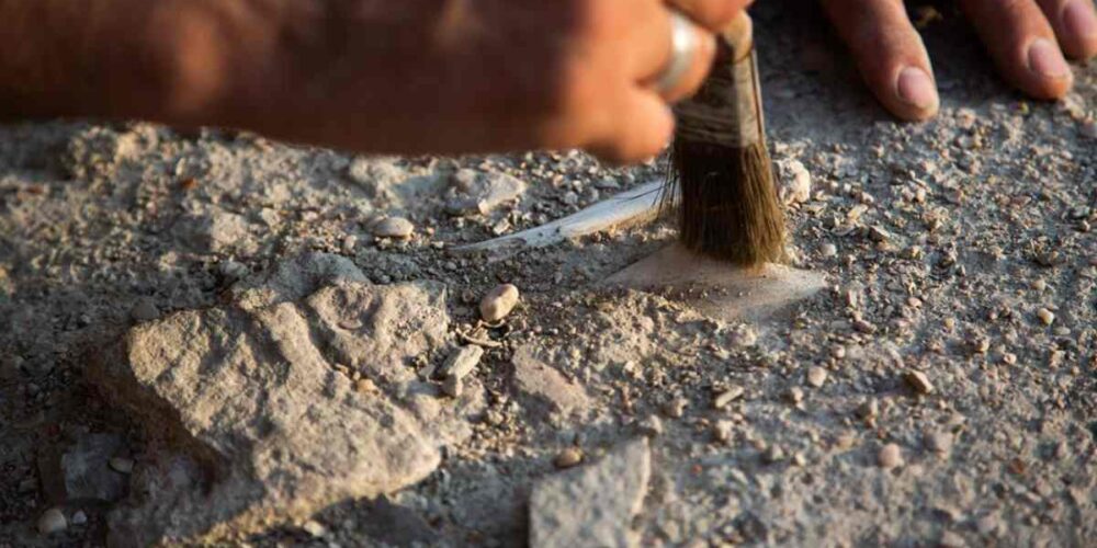 Las ayudas no excederán de 30.000 euros por proyecto.