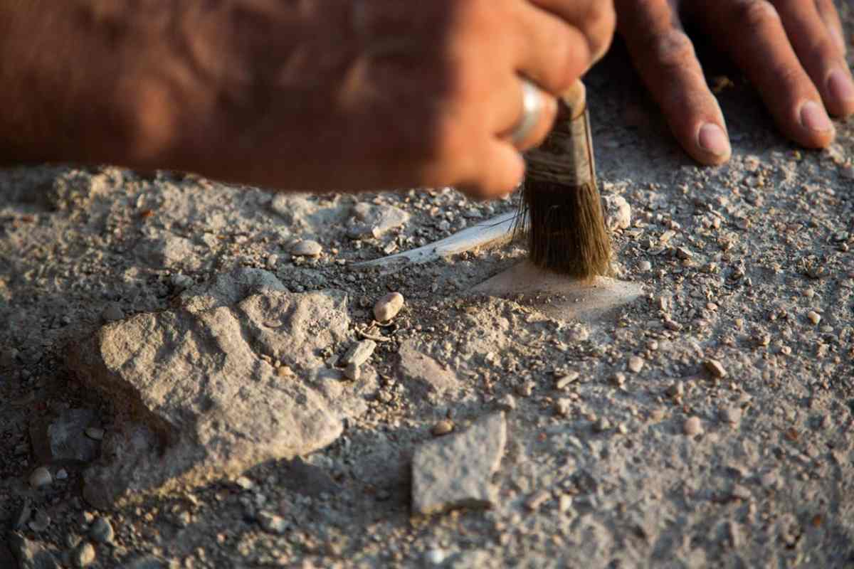 Las ayudas no excederán de 30.000 euros por proyecto.