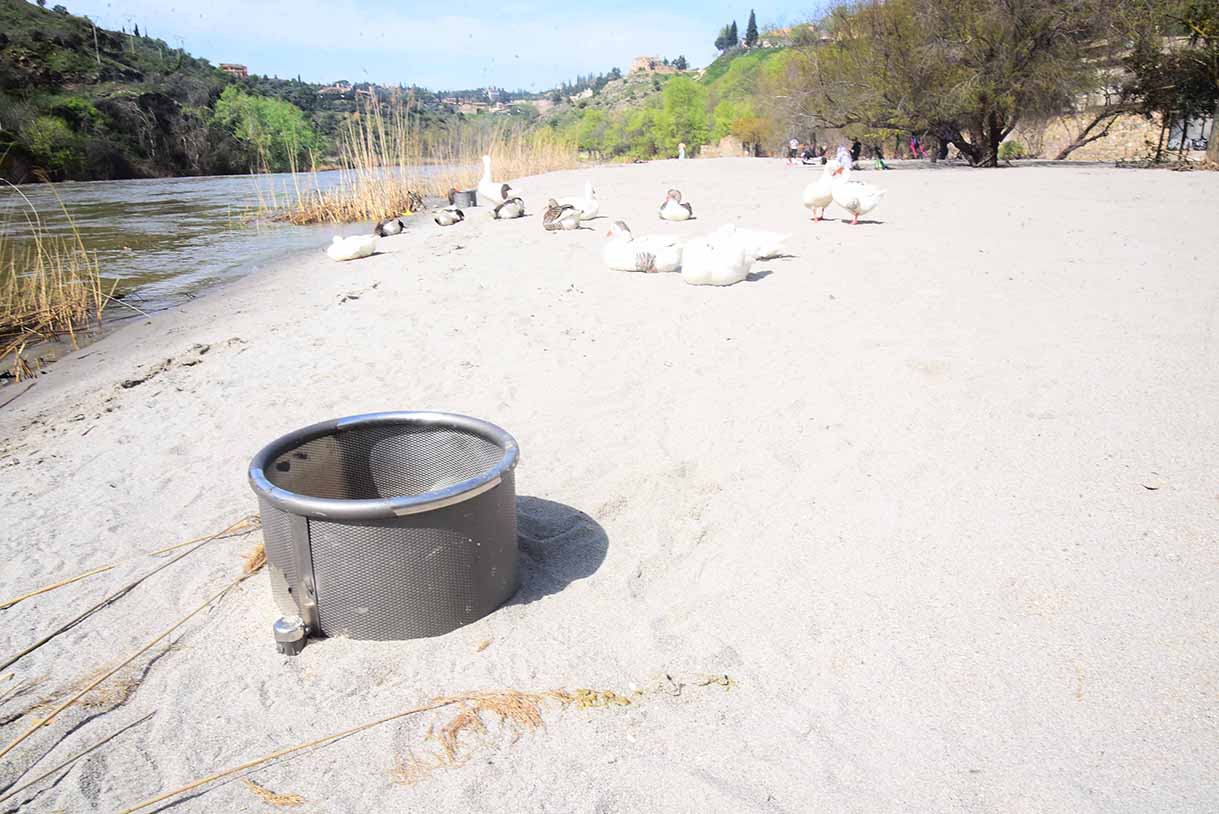 La playa natural que se ha creado a orillas del Tajo, en Toledo. Foto: Rebeca Arango.