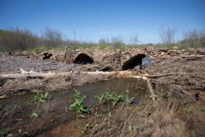 Vista del puente romano de Granátula de Catalavra, Ciudad Real este martes. Los investigadores del Proyecto Oretum han alertado sobre el peligro de derrumbe que corre el puente de Oretum en Granátula de Calatrava (Ciudad Real), una infraestructura hidráulica que soporta la presión de toneladas de vegetación y depósitos que amenazan su estructura. EFE/Jesús Monroy