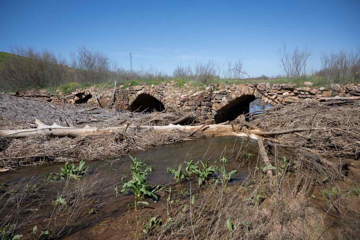 Vista del puente romano de Granátula de Catalavra, Ciudad Real este martes. Los investigadores del Proyecto Oretum han alertado sobre el peligro de derrumbe que corre el puente de Oretum en Granátula de Calatrava (Ciudad Real), una infraestructura hidráulica que soporta la presión de toneladas de vegetación y depósitos que amenazan su estructura. EFE/Jesús Monroy