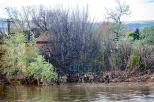 El río Tajo a su paso por Toledo. Foto: ENCLM/Rebeca Arango