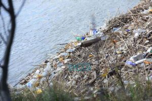 Basura en el río Tajo. Foto: ENCLM / Rebeca Arango