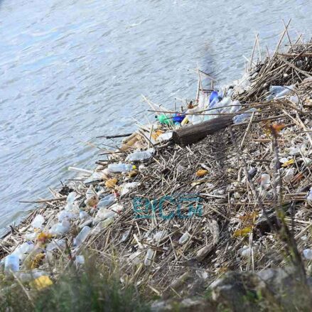 Basura en el río Tajo. Foto: ENCLM / Rebeca Arango