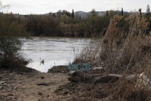 Suciedad tras las crecidas del río Tajo.