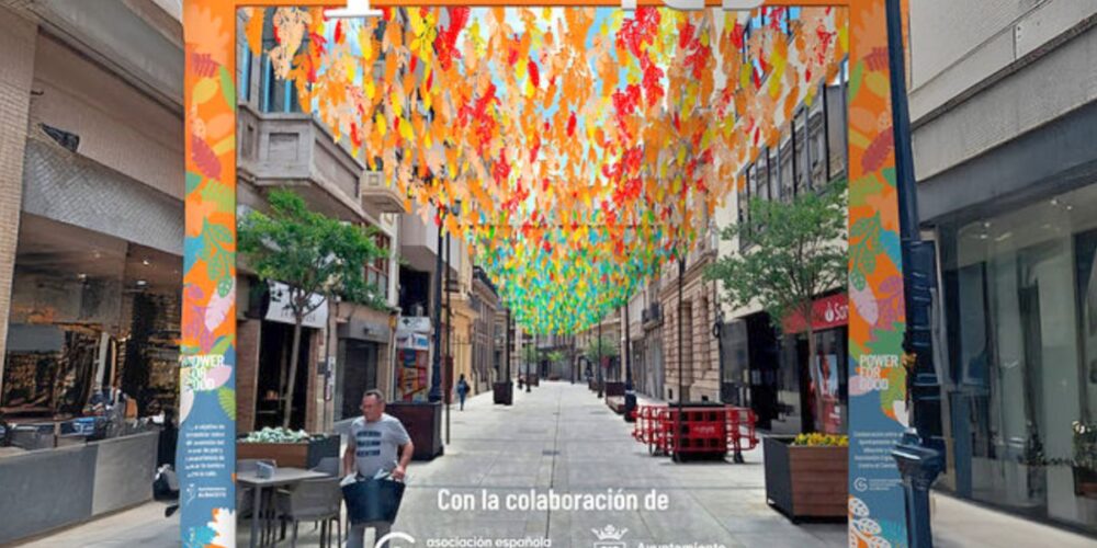 Imagen del proyecto de '4 Seasons' de Res en la calle Ancha de Albacete
