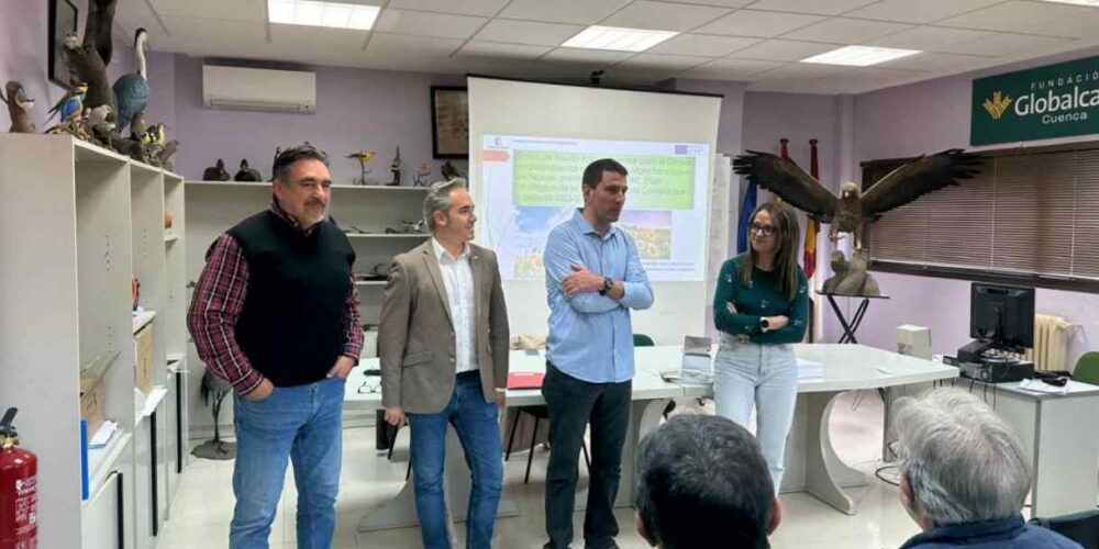 Formación sobre el girasol en Albadalejito.