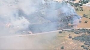 Incendio forestal en Brazatortas.