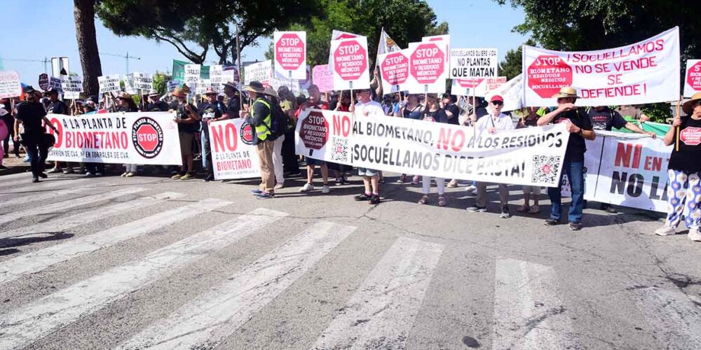 Concentración contra las macrogranjas y las plantas de biometano en Albacete, donde se celebra el Día de la Región.