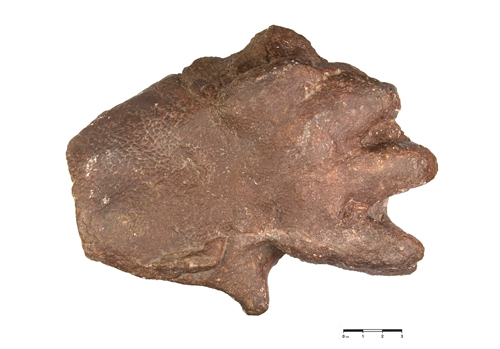 Huella Dinosaurio Rillo de Gallo Foto: Rillo de Gallo